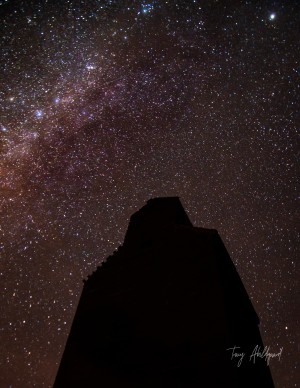 Dorothy Under the Stars Hi Res  